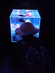 真剣な眼差し