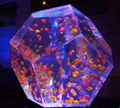 アクアリウム展