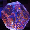アクアリウム展