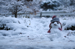 初めての雪だるま