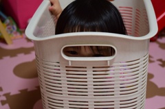 洗濯カゴのスパイ