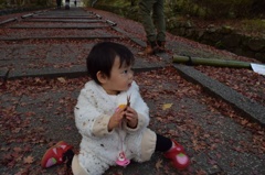 毘沙門堂の紅葉②