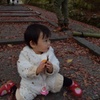 毘沙門堂の紅葉②