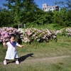 梅小路公園