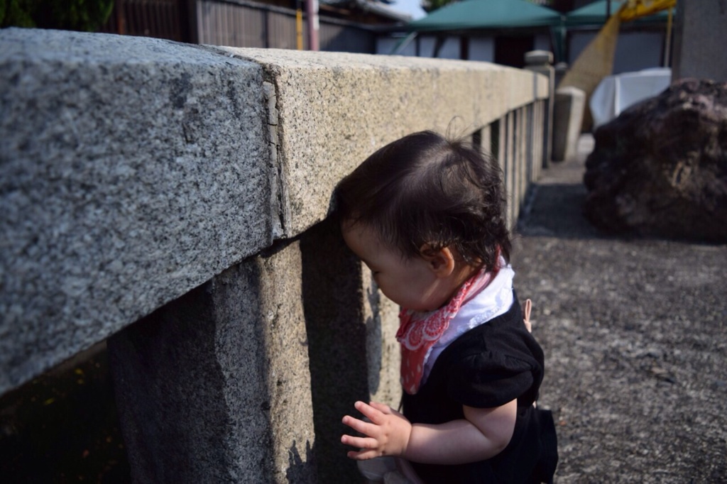 東寺②
