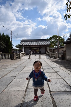東寺でお散歩