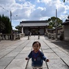 東寺でお散歩