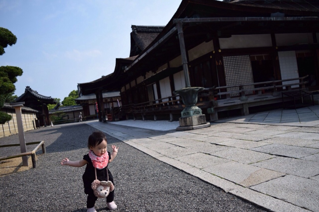 i東寺①