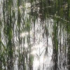 きらめき通り