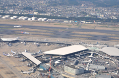 機窓より　成田の朝