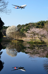 春の朝