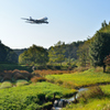 里山を行く