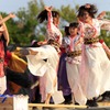 すずフェス09