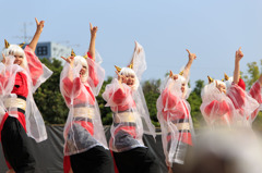 すずフェス01