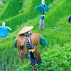 虫送り2015-03