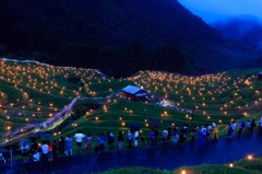虫送り2015-06