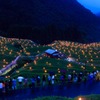 虫送り2015-06