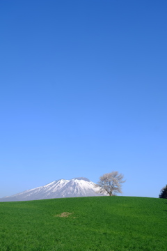 蒼天