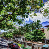 ハワイ風景　HDR