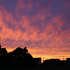 つくばの夕日