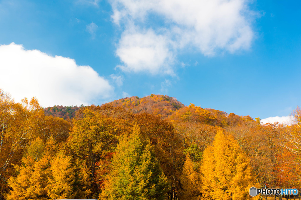 男体山紅葉