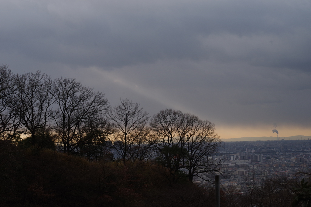 初春の風景