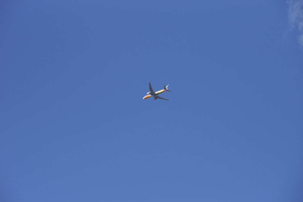 派手な旅客機