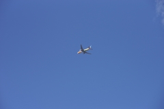 派手な旅客機