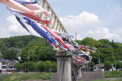 一日遅れの鯉のぼり　Ⅱ