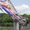 一日遅れの鯉のぼり　Ⅱ