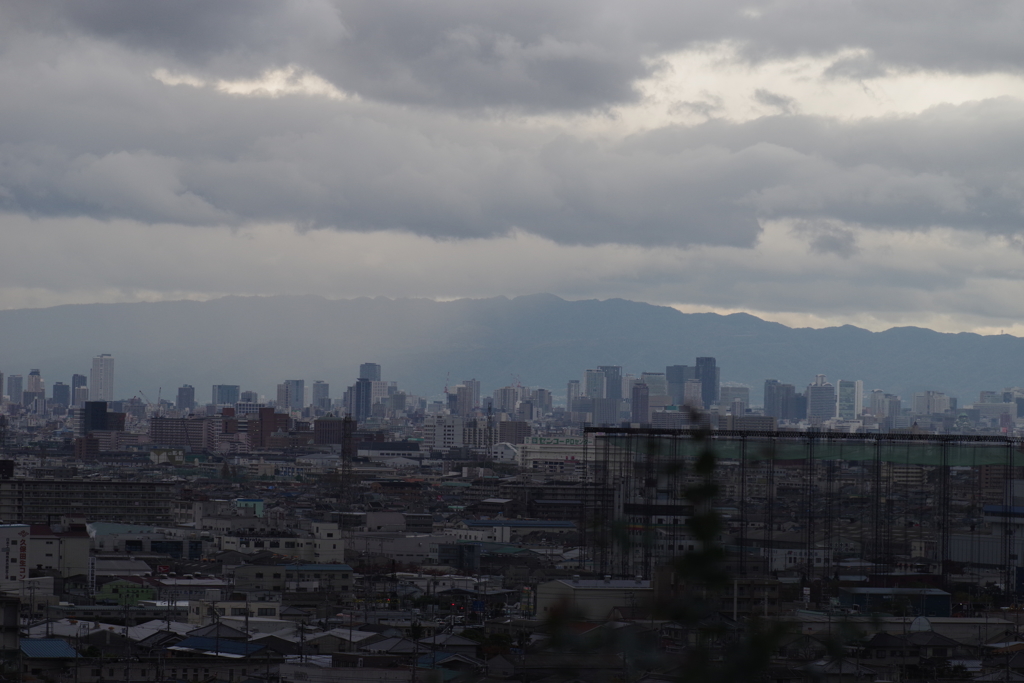 左半分は多分、小雨