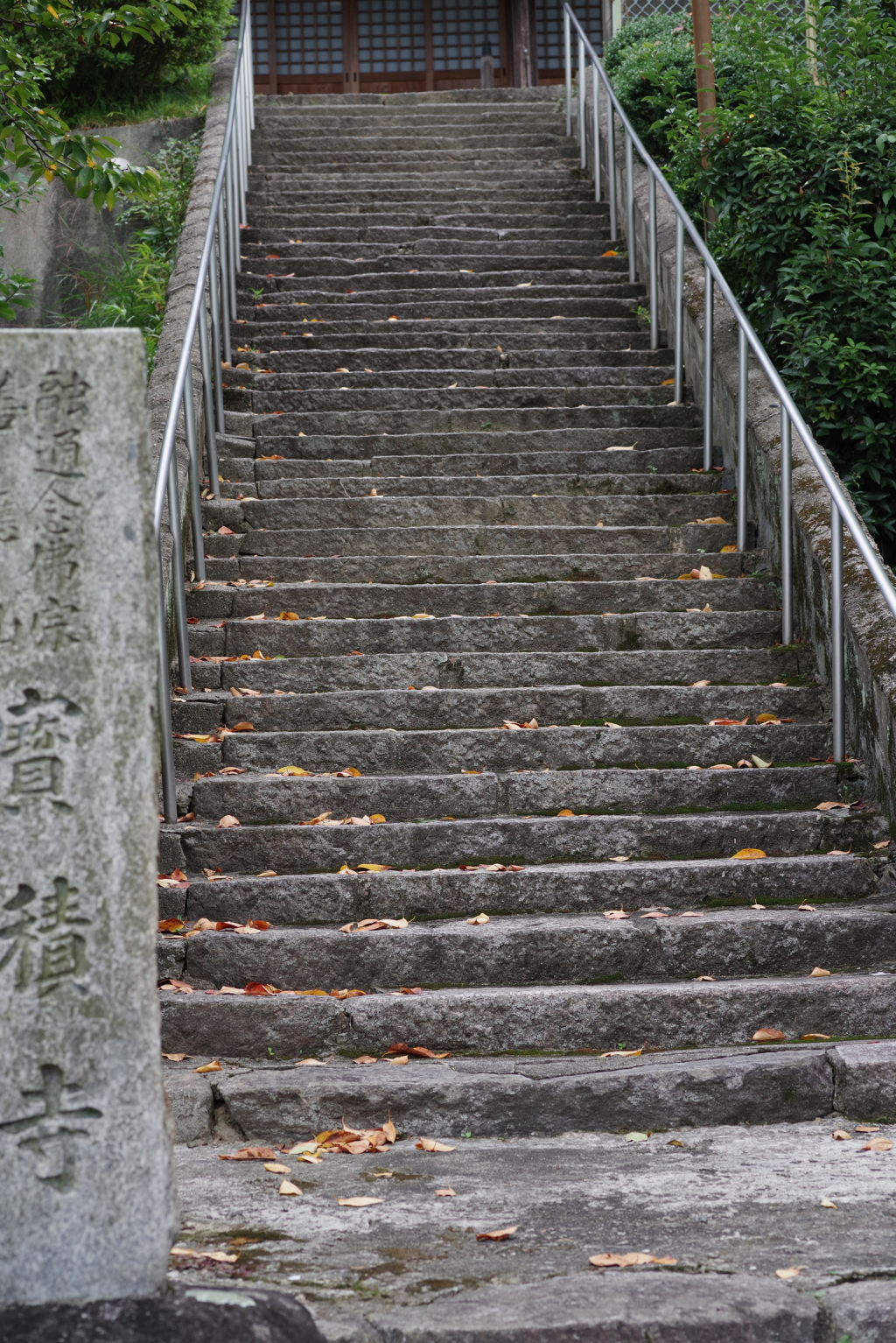 チラホラ秋の気配