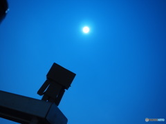 月に願いを