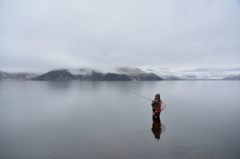 夢の一匹を求めて