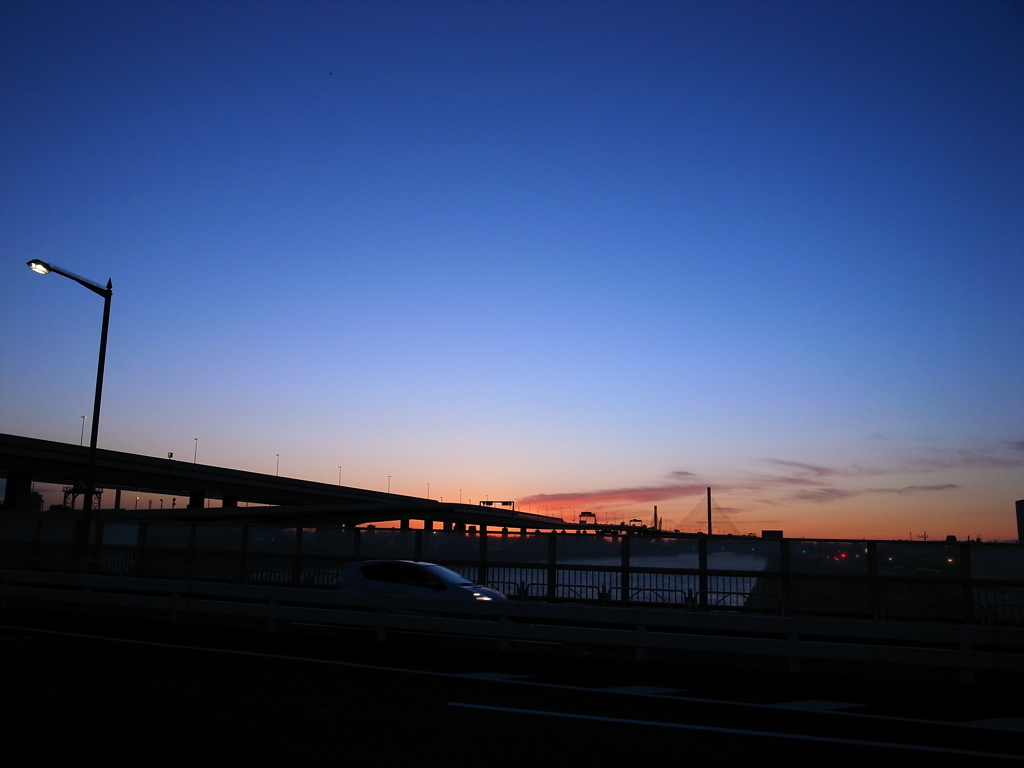 Ｒｉｃｏｈ　Ｂｌｕｅ