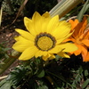 R0012580