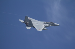 第8航空団　第304飛行隊