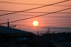 電線と夕陽