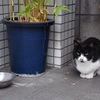 イケメンさん発見‼︎