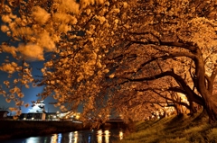 清洲城と夜桜Ⅱ