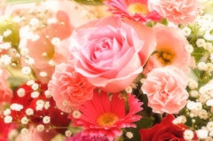 華やかに