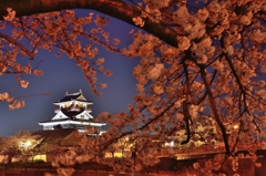 清洲城と夜桜