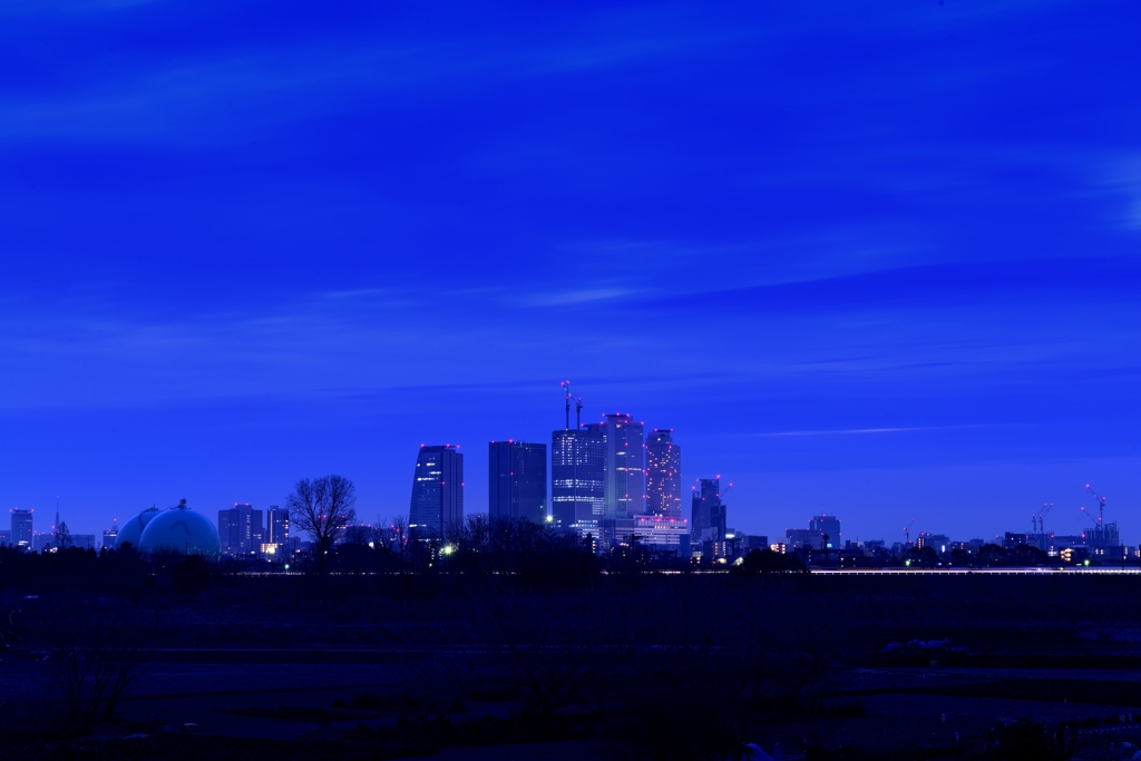 名古屋の寒い朝