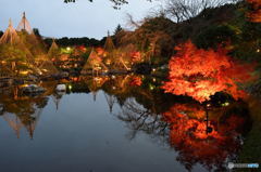 白鳥庭園①