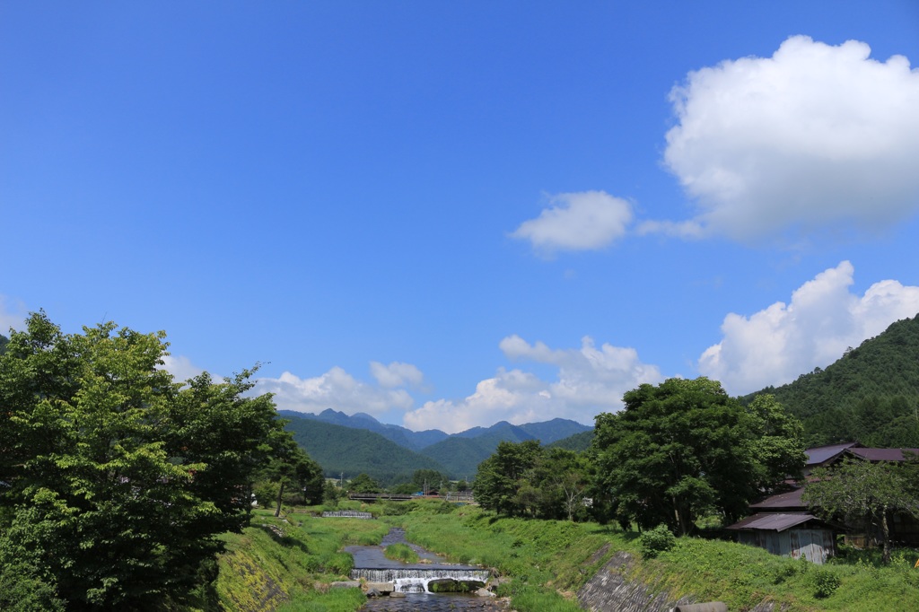 山里の夏
