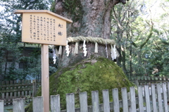 熱田神宮のパワースポット