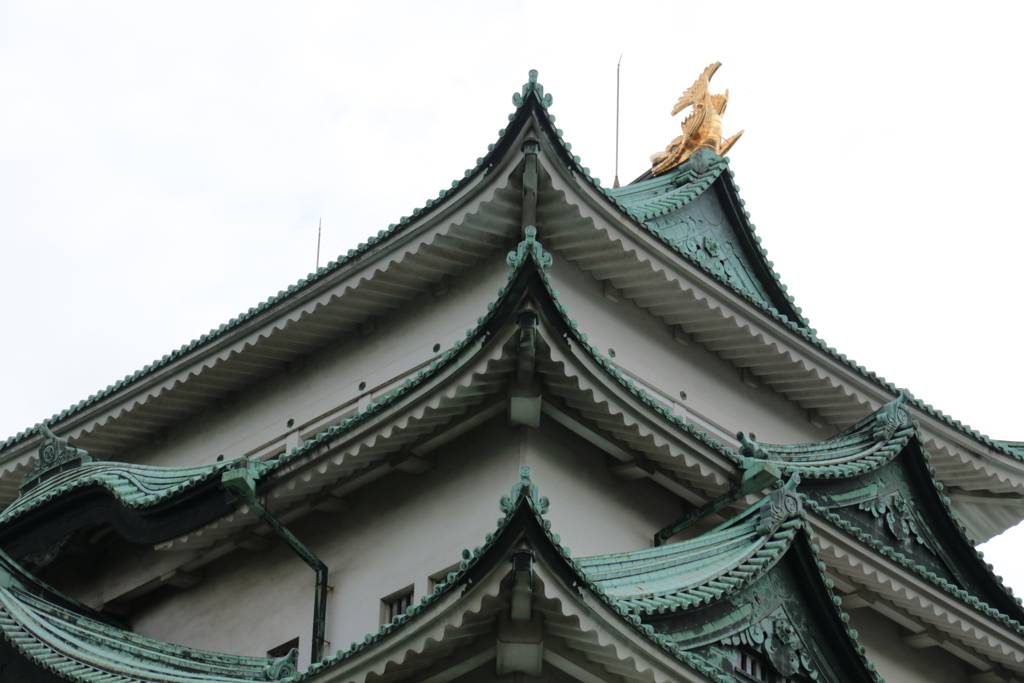 名古屋城大天守と金鯱