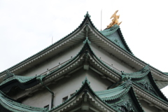 名古屋城大天守と金鯱