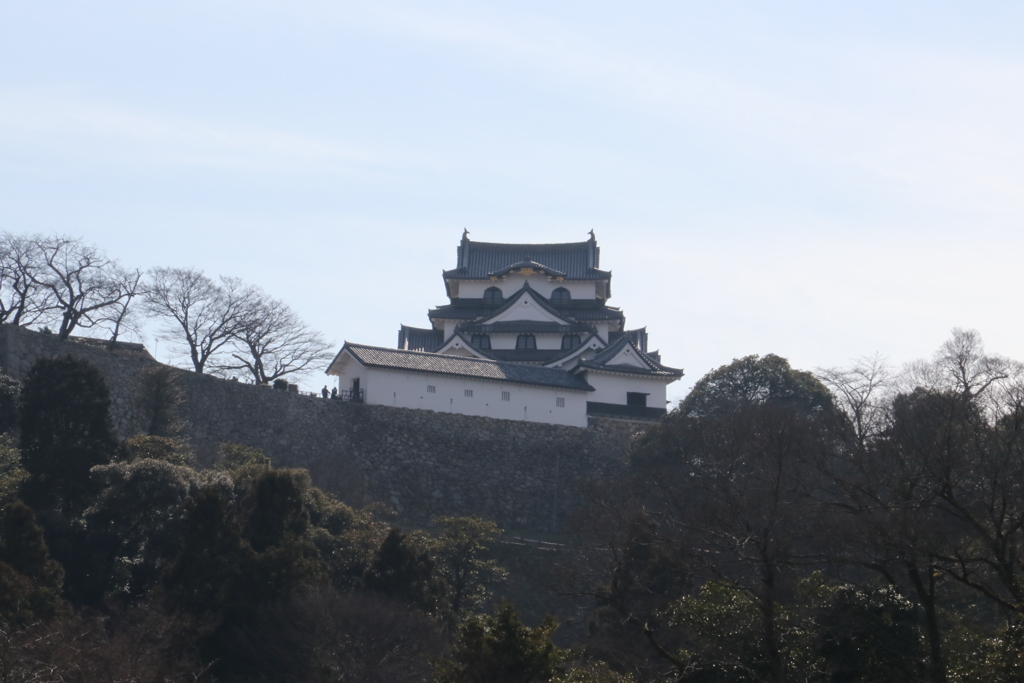 玄宮園より天守を望む