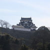 玄宮園より天守を望む